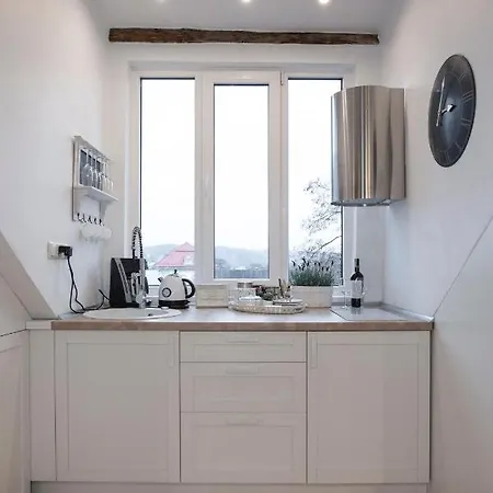 Apartment The Old Town Gediminas Castle View En/rus
