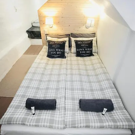 Apartment The Old Town Gediminas Castle View En/rus Wilna