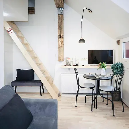 Apartment The Old Town Gediminas Castle View En/rus Vilnius