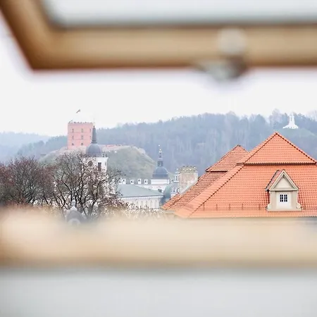 The Old Town Gediminas Castle View En/rus Апартаменти