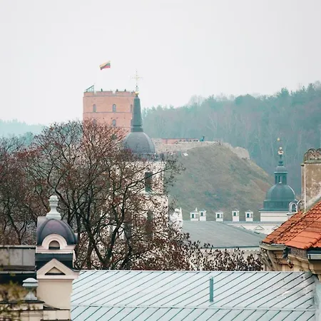 The Old Town Gediminas Castle View En/rus